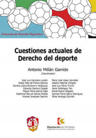 Buch Cuestiones actuales de derecho del deporte 