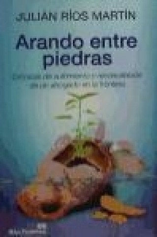 Kniha Arando entre piedras : crónicas de sufrimiento y reconciliación de un abogado en la frontera Julián Carlos Ríos Martín