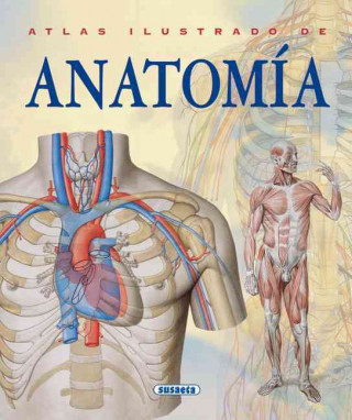 Carte Atlas ilustrado de anatomía Adriana Bigutti