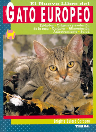Könyv Gato europeo 