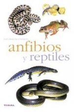 Kniha Anfibios y reptiles Marc Santiani