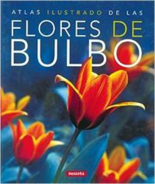 Book Flores de bulbo Global Edition Proyectos de Comunicación