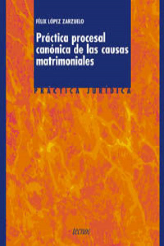 Kniha Práctica procesal canónica de las causas matrimoniales Félix López Zarzuelo