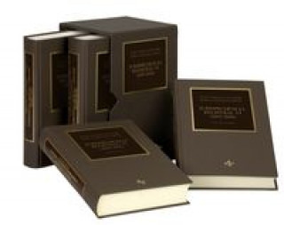 Carte Jurisprudencia Registral VI (2005-2006). 4 volumenes 
