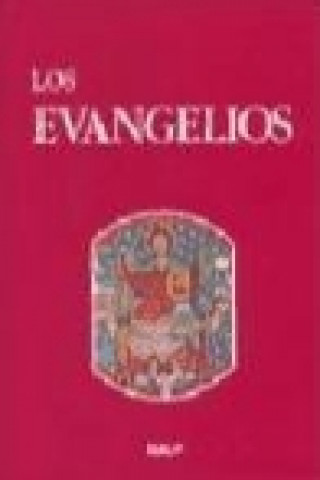 Libro Los Evangelios Antonio Fuentes Mendiola