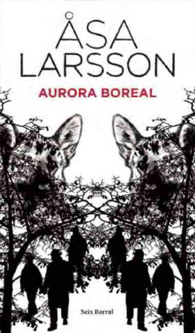 Kniha Aurora boreal Äsa Larsson