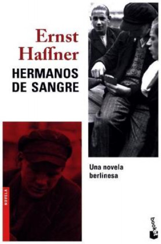 Könyv Hermanos de sangre ERNEST HAFFNER