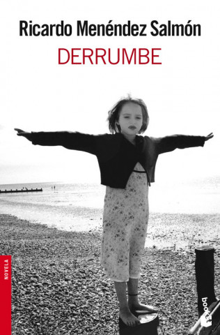 Buch Derrumbe Ricardo Menéndez Salmón