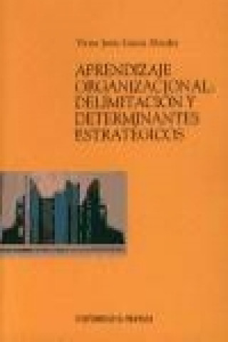 Kniha Aprendizaje organizacional : delimitación y determinantes estratéjicos Víctor Jesús García Morales