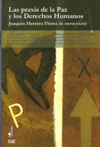 Kniha Las praxis de la paz y los derechos humanos : Joaquín Herrera Flores in memoriam 