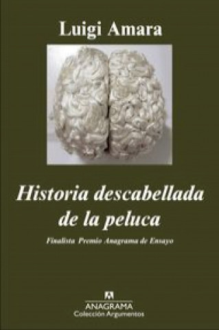 Kniha Historia descabellada de la peluca Luigi Amara