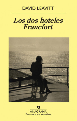 Kniha Los dos hoteles Francfort David Leavitt