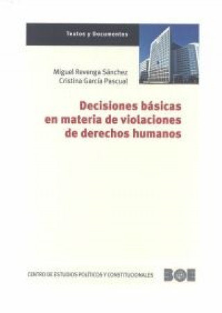 Kniha Decisiones básicas en materia de violaciones de derechos humanos 