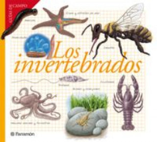 Buch Los invertebrados Josep Maria Barres Manuel