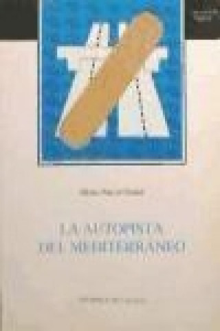 Könyv La autopista del Mediterráneo : cesiones, concesiones, servicios y servidumbres Alfonso Puncel Chornet
