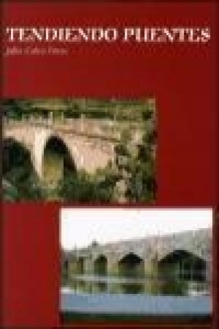 Kniha Tendiendo puentes : la lengua de los emigrantes peruanos (y ecuatorianos) en la Comunidad Valenciana Julio Calvo Pérez