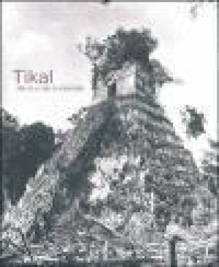 Knjiga Tikal : más de un siglo de arqueología 