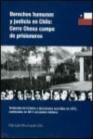 Kniha Derechos humanos y justicia en Chile : Cerro Chena, campo de prisioneros : testimonio de torturas y ejecuciones ocurridas en 1973, condenadas en 2011 Manuel Ahumada Lillo