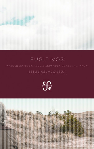 Book Fugitivos JESUS AGUADO