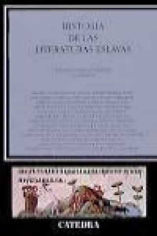 Könyv Historia de las literaturas eslavas 