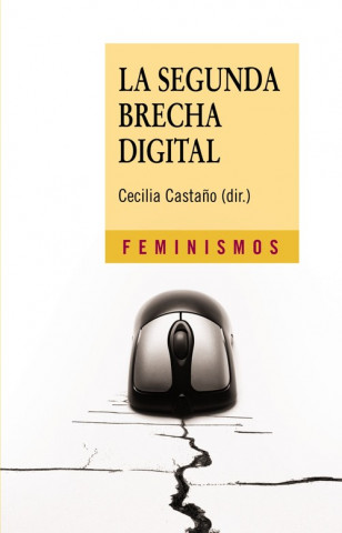 Könyv La segunda brecha digital CECILIA CASTAÑO COLLADO
