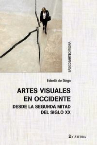 Kniha Artes visuales en Occidente desde la segunda mitad del siglo XX ESTRELLA DE DIEGO