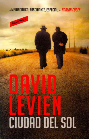 Boek Ciudad del sol David Levien