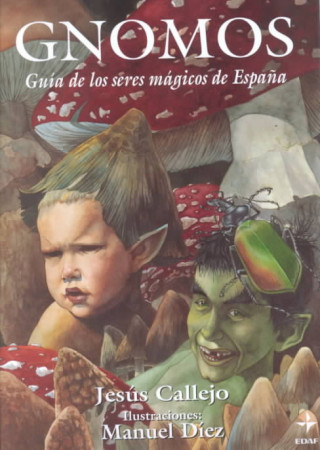 Kniha Gnomos Jesús Callejo