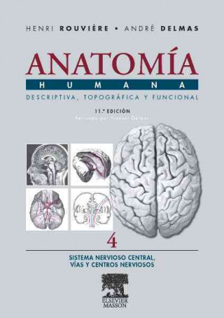 Carte Anatomía humana, 11 ed. : descriptiva, topográfica y funcional : sistema nervioso central, vías y centros nerviosos 