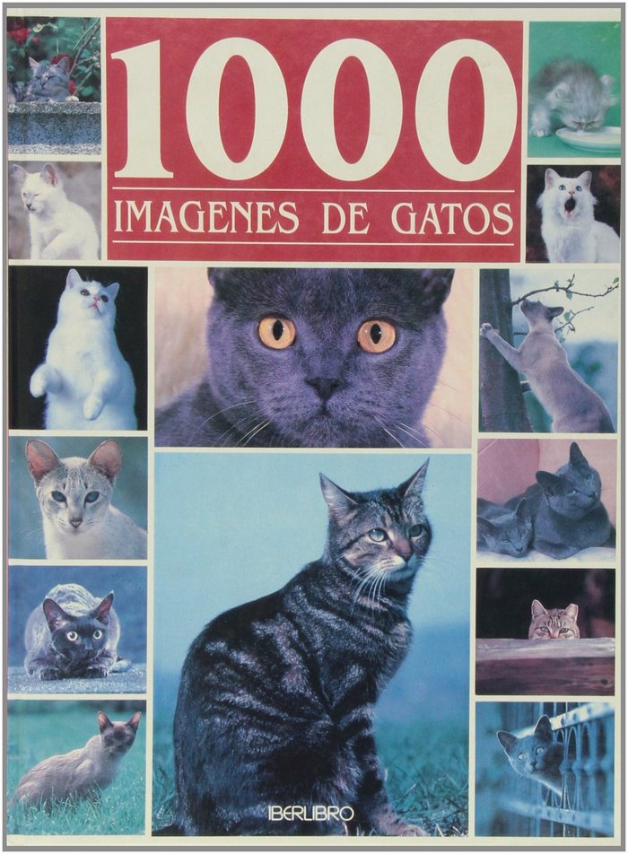 Книга 1000 IMAGENES GATOS 