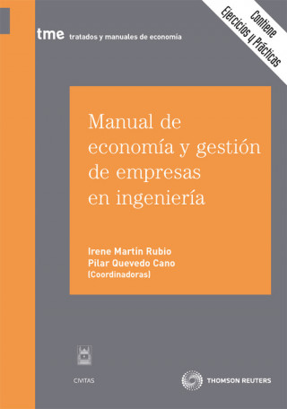Könyv Manual de economía y gestión de empresas en ingeniería Irene Martín Rubio