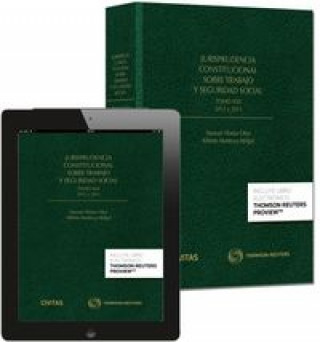 Carte Jurisprudencia constitucional sobre trabajo y seguridad social tomo XXX: 2012 y 2013 (Formato dúo) 