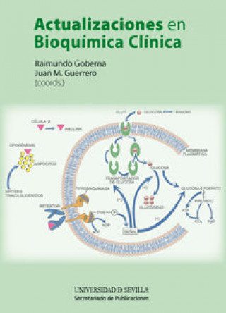 Kniha Actualizaciones en Bioquímica Clínica 