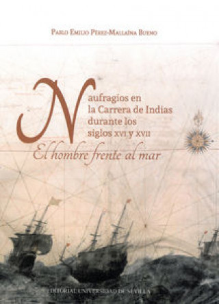 Book Naufragios en la Carrera de Indias en el siglo XVI y XVII 