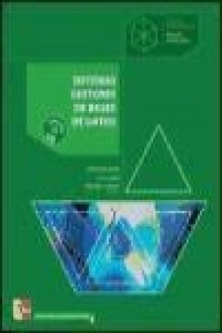 Książka Sistemas gestores de bases de datos, ciclos formativos, grado superior Fernando Montero Rodríguez