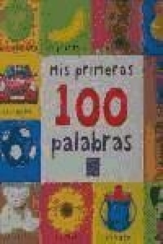 Libro Mis primeras 100 palabras Ana Isabel Gallo López