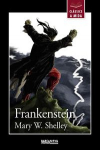 Knjiga Frankenstein MARY W. SHELLEY