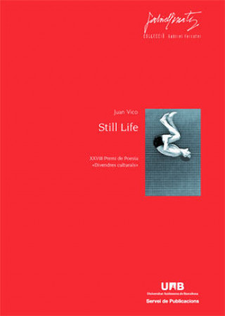 Книга Still life Juan Salido Vico