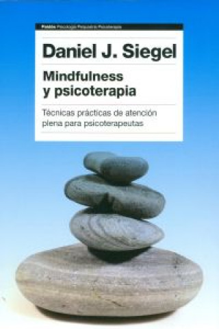 Carte Mindfulness y psicoterapia DANIEL SIEGEL
