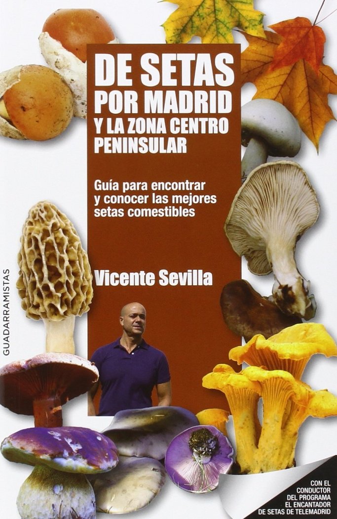 Kniha De setas por Madrid y la zona centro peninsular : guía para encontrar y conocer las mejores setas comestibles Vicente Sevilla Hidalgo