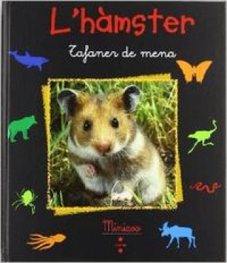 Könyv L'hamster Paul Starosta