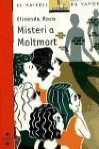 Book Misteri a Moltmort Elisenda Roca