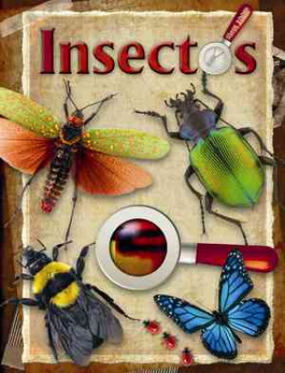 Carte Insectos 