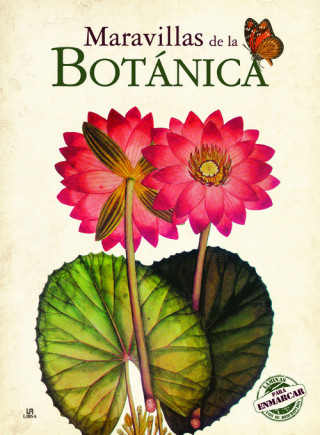 Carte Maravillas de la Botánica ENRIQUE RODRIGUEZ GONZALEZ