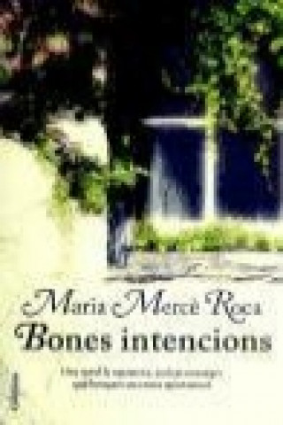 Book Bones intencions 