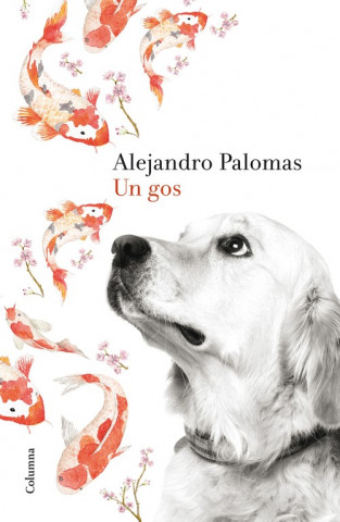 Könyv Un gos ALEJANDRO PALOMAS