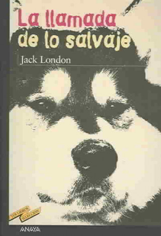 Kniha La llamada de lo salvaje Jack London