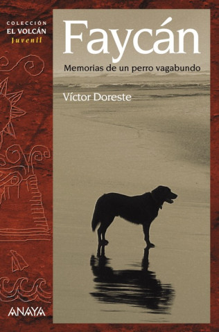 Carte Faycán : memorias de un perro vagabundo Víctor Doreste