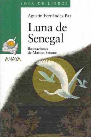 Kniha Luna de Senegal Agustín Fernández Paz