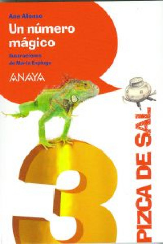 Könyv Un número mágico Ana Isabel Conejo Alonso